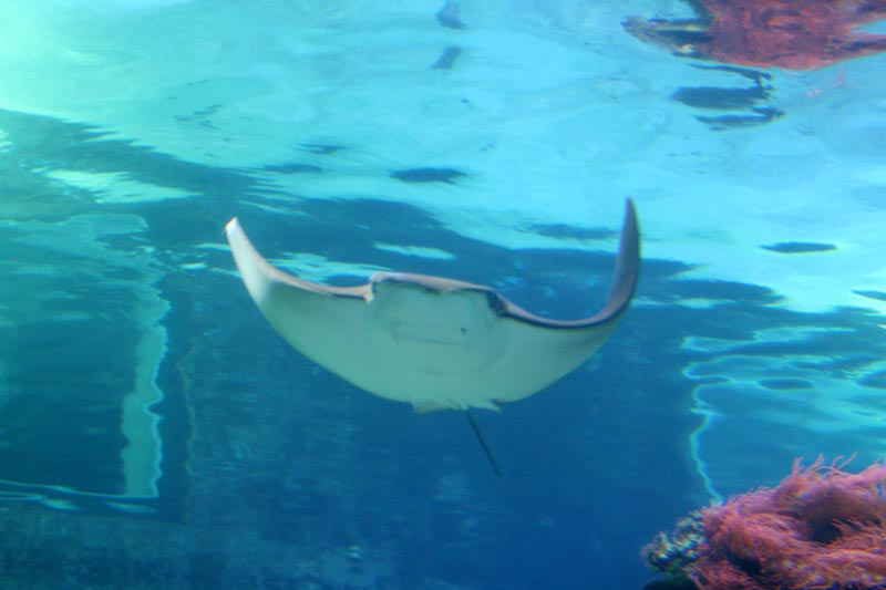 Killikus® Fotographie Killikus® Fotographie